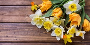 spring associate networking event 