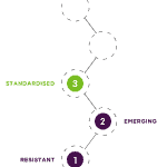 5 steps process roadmap to paying off debt instagram stories-9