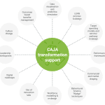 Caja Transformation support diagram – corporate colours