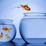 Depositphotos_48265849_L